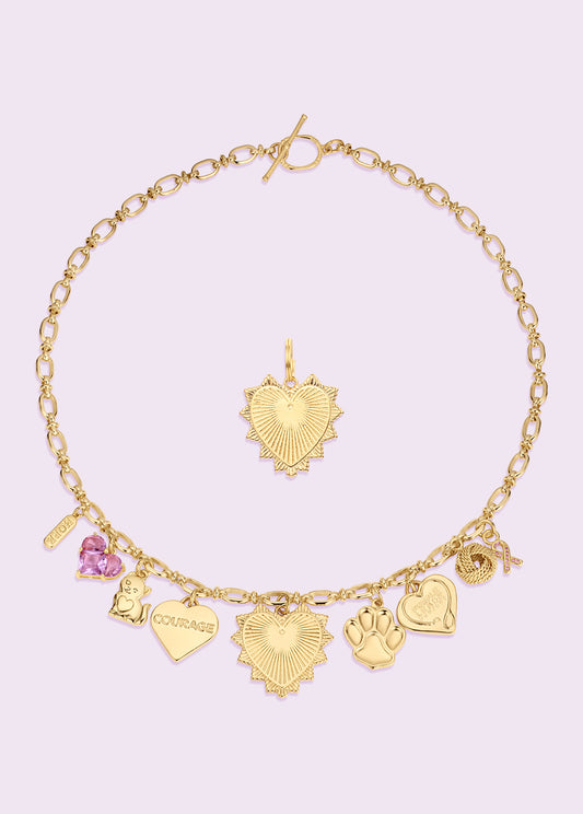 Courageous Charm Necklace & Pet Charm