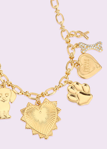 Courageous Charm Necklace & Pet Charm