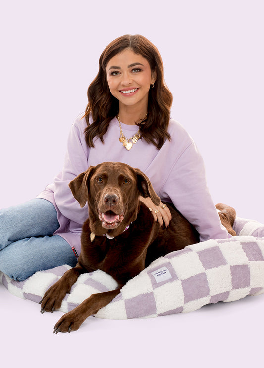 Courageous and Cozy Pet Bed