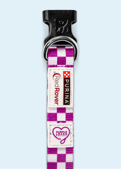 Courageous Dog Collar