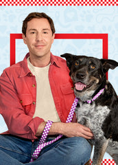 Courageous Dog Collar