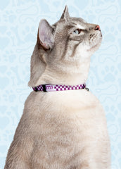 Courageous Cat Collar