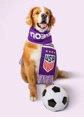 Courageous & Comfy Soccer Scarf
